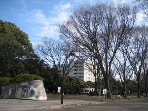 2011.1.3    明治神宮 002